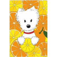 Полотно на картоні з контуром, „Собачка в апельсинах“, 20х30, бавовна, акрил, ROSA START