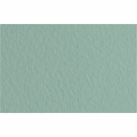 Папір для пастелі Tiziano B2 (50*70см), №13 salvia, 160г/м2, сіро-зелений, середнє зерно, Fabriano