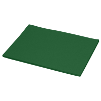 Картон для дизайну Decoration board, А4(21х29,7 см), №23 зелений темний, 270 г/м2, NPA