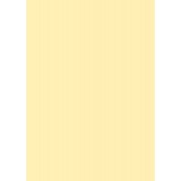 Папір для дизайну Tintedpaper В2 (50*70см), №11 блідо-жовтий, 130г/м, без текстури, Folia