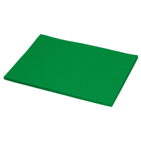 Картон для дизайну Decoration board, А4(21х29,7 см), №22 зелений трав'яний, 270 г/м2, NPA