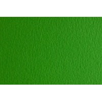 Папір для дизайну Elle Erre B1 (70*100см), №11 verde, 220г/м2, зелений, дві текстури, Fabriano