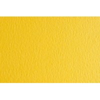 Папір для дизайну Elle Erre B1 (70*100см), №25 cedro, 220г/м2, жовтий, дві текстури, Fabriano