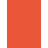 Папір для дизайну Tintedpaper В2 (50*70см), №40 оранжевий, 130г/м, без текстури, Folia