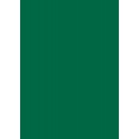 Папір для дизайну Tintedpaper А4 (21*29,7см), №58 хвойно-зелений, 130г/м2, без текстури, Folia
