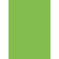 Папір для дизайну Tintedpaper В2 (50*70см), №51 світло-зелений, 130г/м, без текстури, Folia