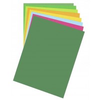 Папір для дизайну Fotokarton B2 (50*70см) №53 Зелений мох 300г/м2, Folia