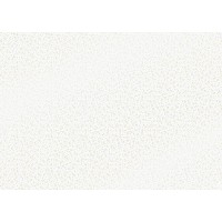 Велум напівпрозорий "Омела", Білий, А4 (21х29,7см), 115г/м2, Heyda
