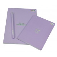 Набір блокнотів "4PROFI" /900428/ А5/128, В6/128, ЧИСТІ, ручка гель чорна, "Title" violet (1/20/100)