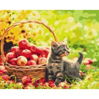 Картина за номерами "Brushme" /BS52657/ "Яблучний котик" 40*50см