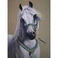 Алмазна мозаїка "Go to art" /178833/ "Білий кінь" 20*30см на підрамнику