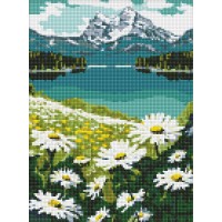Алмазна мозаїка "Ідейка" /AMO7803/ "Квітучі ромашки" 30*40см