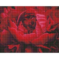 Алмазна мозаїка "Ідейка" /AMO7387/ "Вишукана квітка" 40*50см