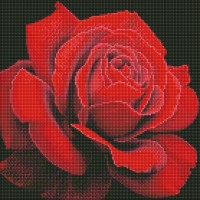 Алмазна мозаїка "Ідейка" /AMO7634/ "Червона троянда" 40*40см
