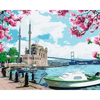 Картина за номерами "Ідейка" /KHO2757/ "Яскравий Стамбул" 40*50см