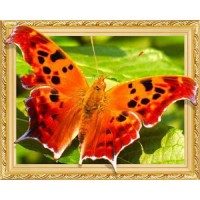Алмазна мозаїка "JO" /0491ELT/ "Метелик" на підрамнику 40*50см