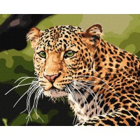 Картина за номерами "Ідейка" /KHO4322/ "Зеленоокий леопард" 40х50см