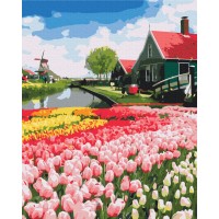 Картина за номерами "Brushme" /BS52716/ "Голландська провінція" 40*50см