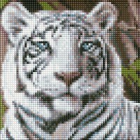 Алмазна мозаїка "Ідейка" /AMC7681/ "Бенгальський тигр" рулон 20*20см